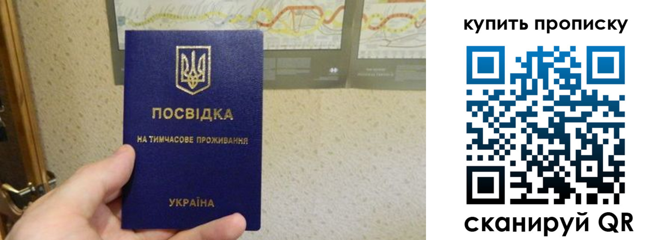временная регистрация поиск в Солнечногорске